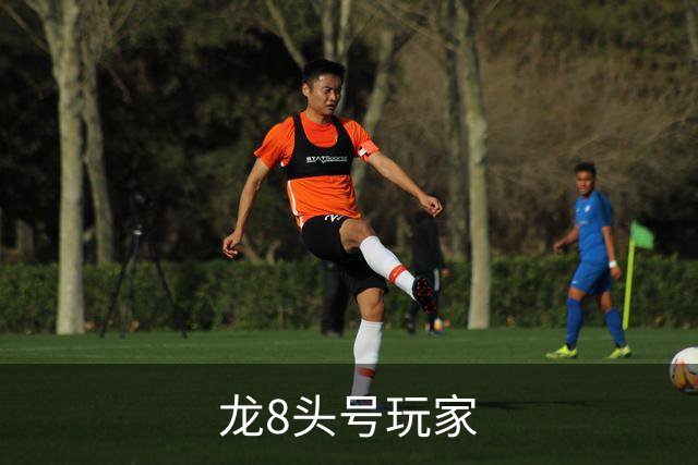 龙8头号玩家公司简介图片